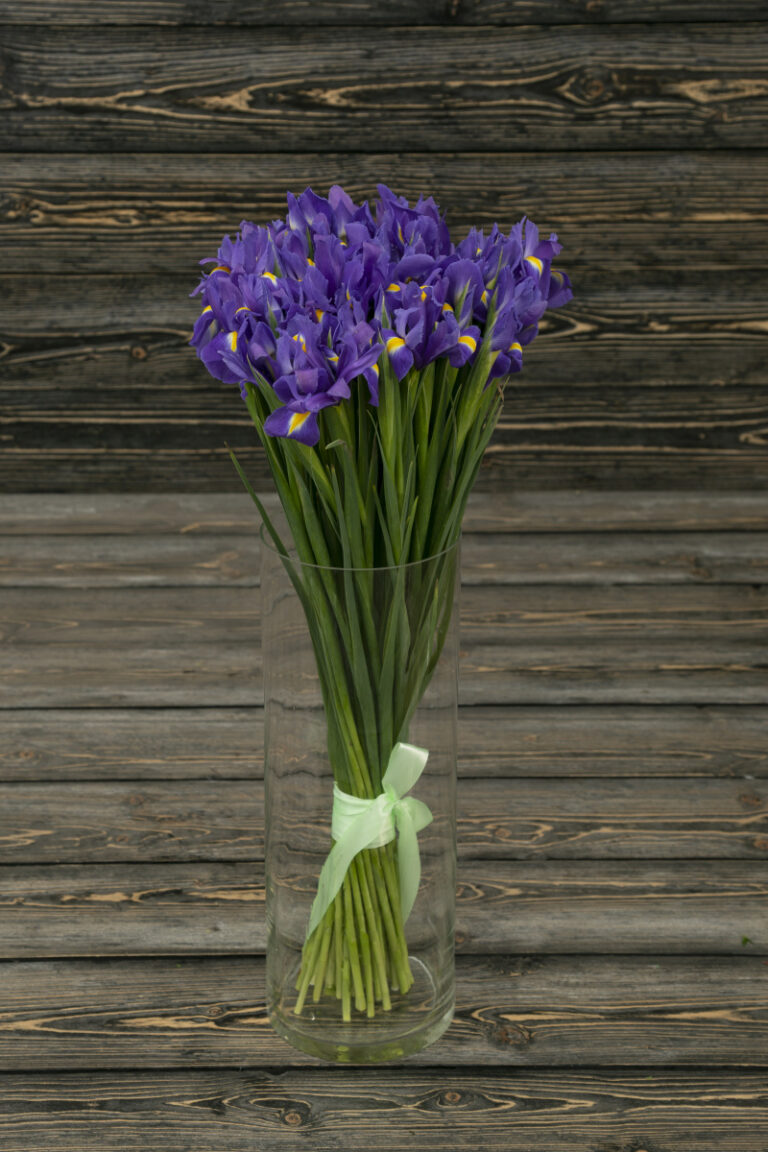 Тишина в подарок: Почему один цветок иногда лучше ста