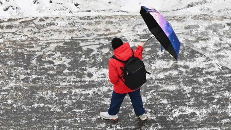 Синоптик допустил снежный покров в Москве до 5 см