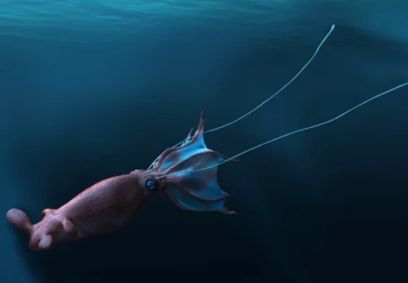 Следы морских чудовищ: существовали ли кракены во времена динозавров?