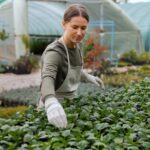 Как сделать парник из полипропиленовых труб