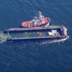 Месяц на мели и риск для жизни: что произошло с китом Тимми после освобождения