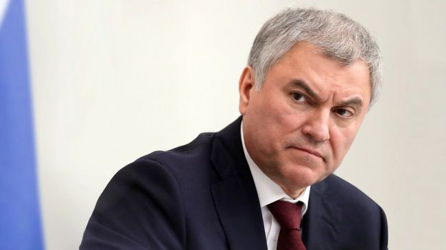 Володин анонсировал ужесточение мер контроля за нахождением в России мигрантов